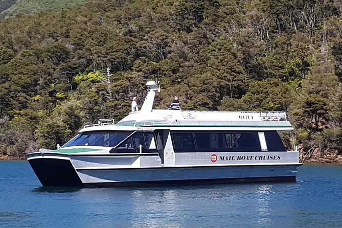 Half-Day Cruise in Marlborough Sounds From Picton - Tips for a Great Cruise
