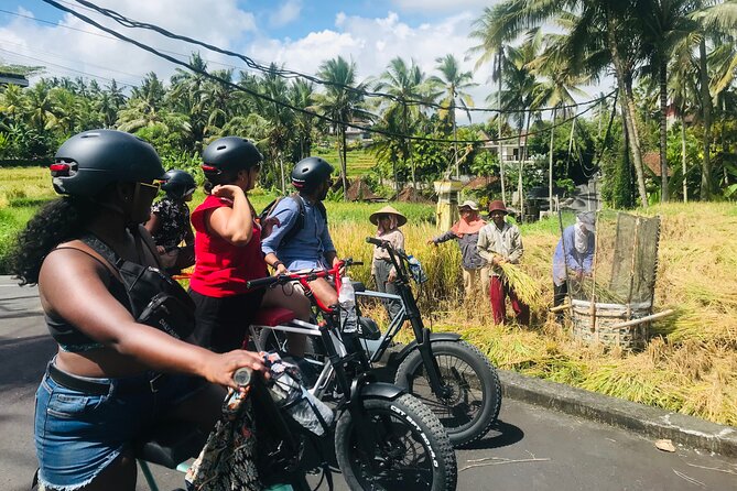 Half-Day Electric Fat Bike Tour of Ubud - Tour Highlights