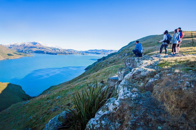 Half Day Guided Walking Tour on Banks Peninsula - Reviews and Ratings