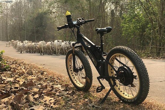 Half-Day Hilly E-Bike Adventure (Fully Paved Roads, Guided) - Tour Reviews and Ratings