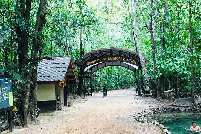 Half Day Jungle Tour to Emerald Pool and Krabi Hot Spring - Alternative Options