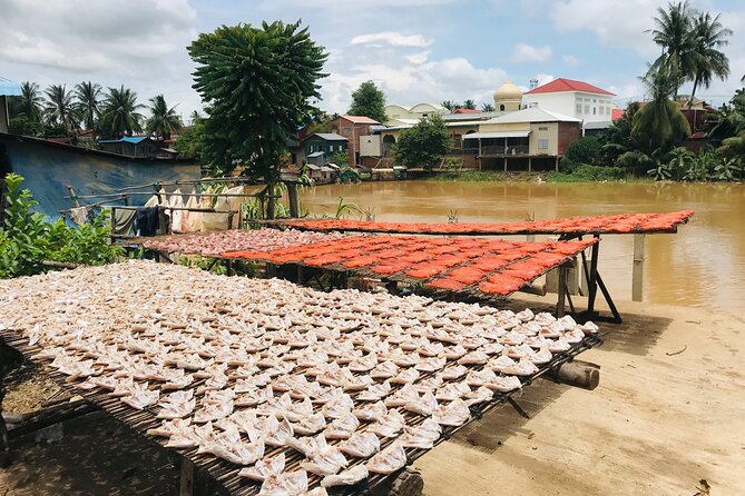 Half Day Livelihood Tour - Battambang City & Villages.Local Life - Local Experiences