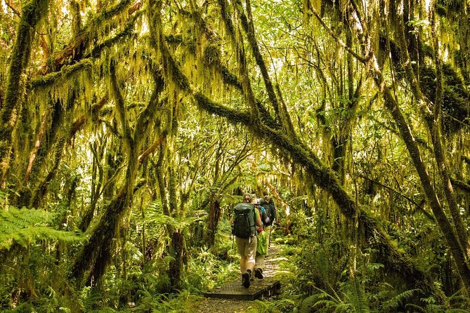 Half-Day Milford Track Guided Hiking Tour - Tips for Hikers