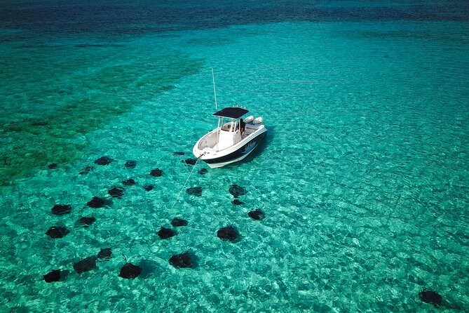 Half Day Private Boat Charter in Grand Cayman - Tailored Itineraries and Flexibility