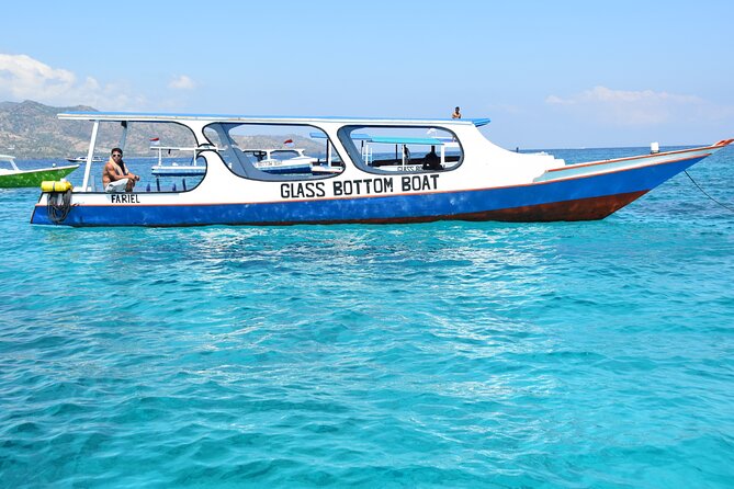 Half-Day Private Guided Snorkeling Turtles Underwater Statues - Cancellation and Refund Policy