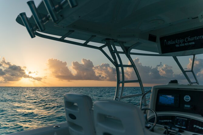 Half-Day Private Stingray City Charter - Grand Cayman - BTC - Local Attractions