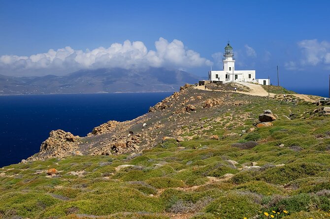 Half Day Private Tour Island With a Local in Mykonos - Cancellation Policy