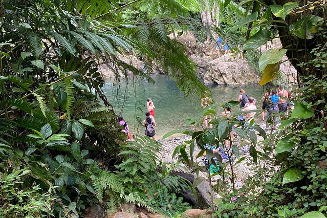 Half-Day River Adventure in El Yunque With a Local - Booking Your Adventure