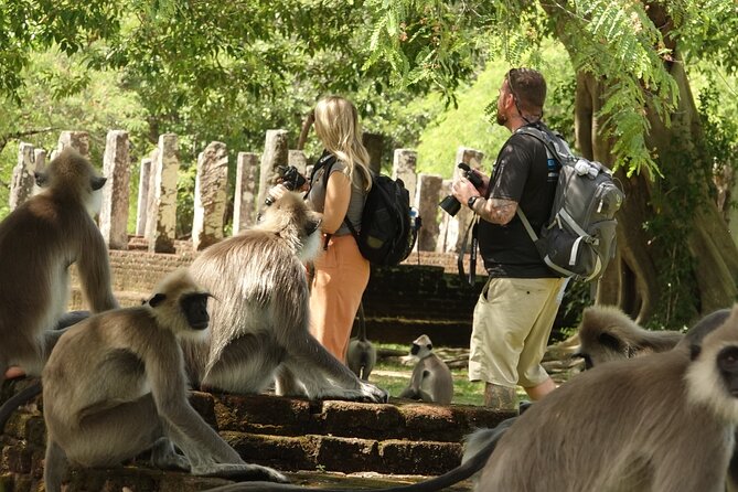 Half Day Safari Guided Tour - Customer Reviews and Feedback