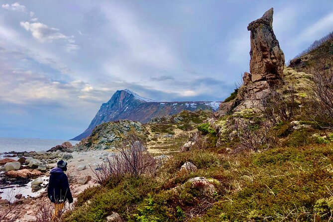 Half-Day Scenic Wildlife & Photographic Fjord Tour. - Tips for a Great Experience