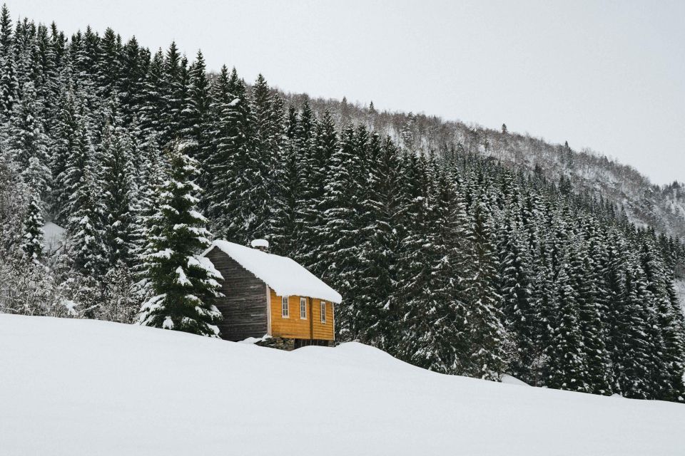 Hardangerfjord: Exclusive Snowshoe Hike With Majestic Views - Booking Your Snowshoe Experience