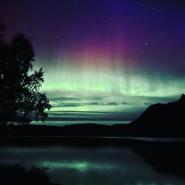 Harstad/Narvik/Tjeldsund: Northern Lights Sightseeing by Car - Tips for a Successful Tour