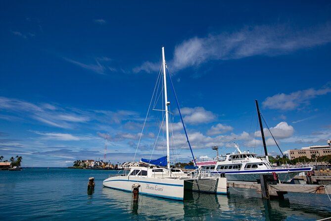 Hawaiian Sea Turtle Snorkel Sail From Waikiki With Lunch Included - Spotting Marine Life
