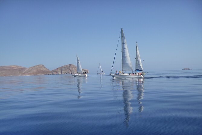 Heraklion: Nature Reserve Full Day Sailing to Dia Island & Lunch - Tips for a Great Day