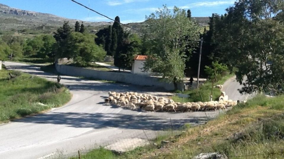 Heraklion:Cretan Villages With Patsos Gorge - Discover Spili and Lampini