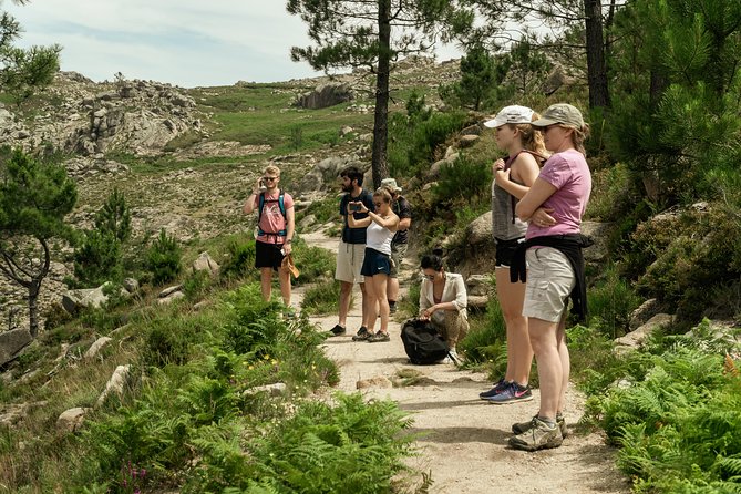 Hiking and Swimming in Gerês National Park - Customer Reviews and Experiences