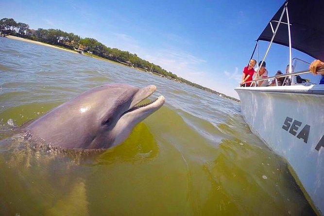 Hilton Head Dolphin Tour With Stop at Disappearing Island - Nearby Attractions to Explore