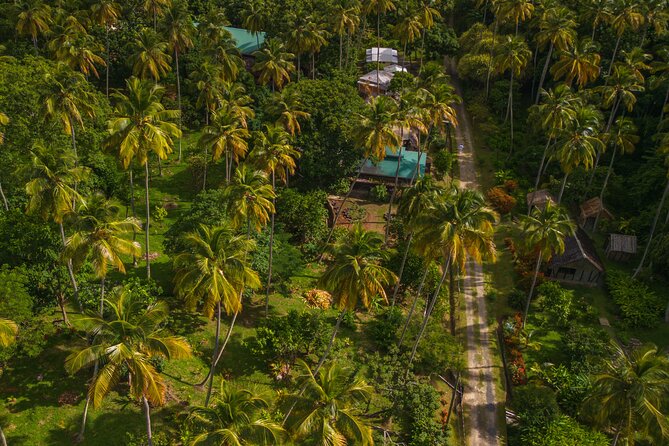 Historical 18TH Century Estate Tour With Coconut Tasting - Visitor Reviews and Ratings