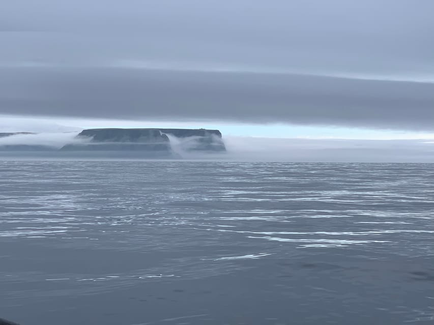 Honningsvåg: North Cape King Crab & Arctic Wildlife Safari - Customer Feedback