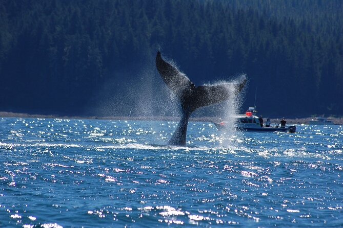 Hoonah Whale-Watching Cruise - Booking and Pricing Information
