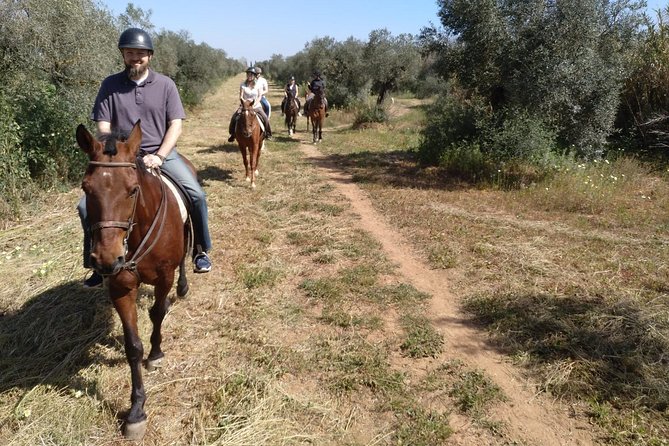 Horse Riding Excursion From Seville - Tips for a Great Ride