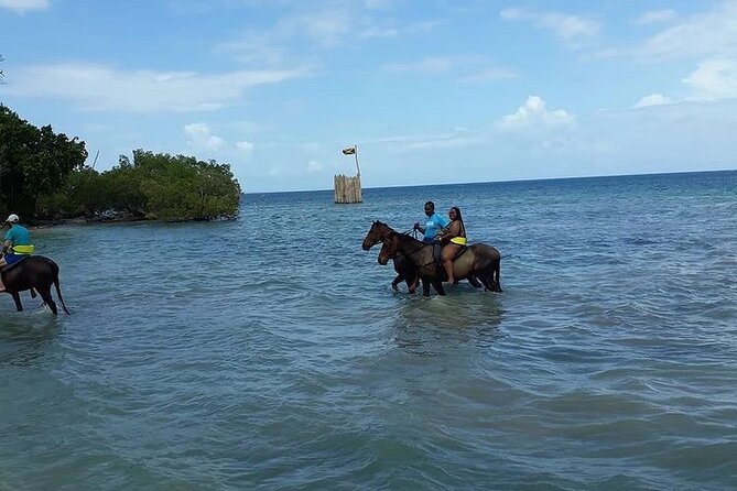 Horseback Riding, ATV and Ocean Zip Lining Combo From Montego Bay - Contact and Support