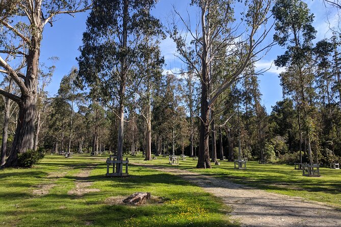 Hutt River Trail Ebike Explorer - Exploring Wellingtons Scenic Trails