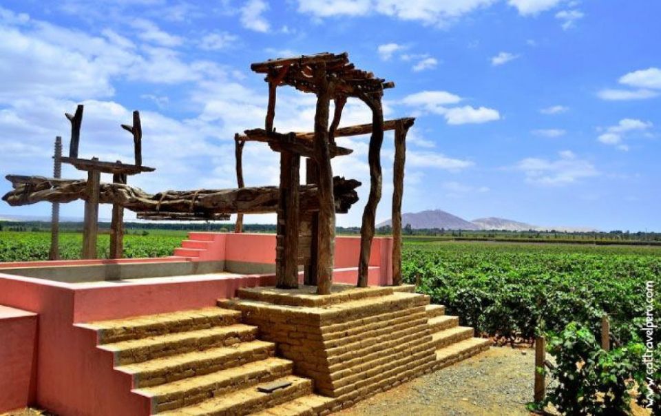 Ica: Pisco Wineries and Vineyards Day Tour - Exploring the Ica Region