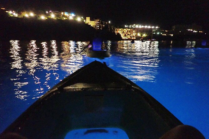 Illuminated Night Kayak From Marriott Frenchmans Cove Dock, US Virgin Islands - Exploring the Marine Life