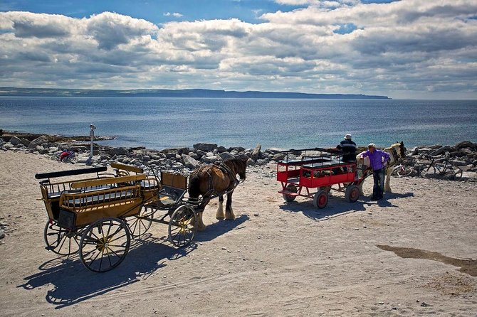 Inis Mór (Aran Islands) Day Trip: Return Ferry From Rossaveel, Galway - Tips for a Great Experience