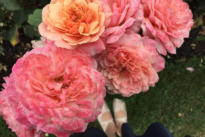 Intro to Portland Small Group Walking Tour - Tips for an Enjoyable Experience