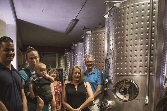 Irpinia Tour of the Vineyards, Cooking Class and Wine-Tasting - Accessibility Features