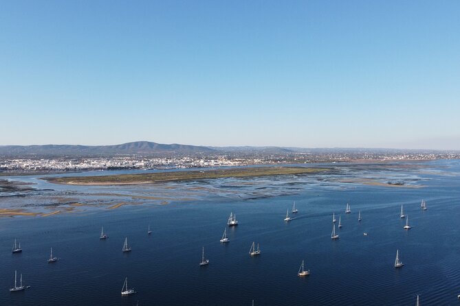 Islands Tour: Half Day Cruise in Ria Formosa National Park - Additional Accessibility Information