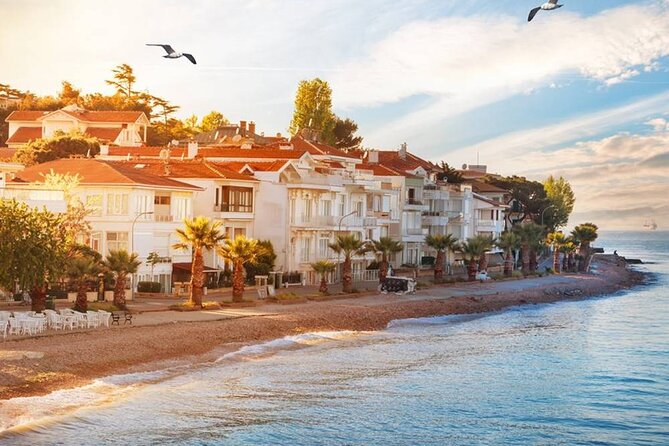 Istanbul Princes Island Tour With Lunch & Hotel Transfer - Guest Reviews