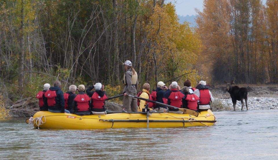 Jackson: Snake River Scenic Raft Float Tour With Teton Views - Wildlife and Scenery Along the River