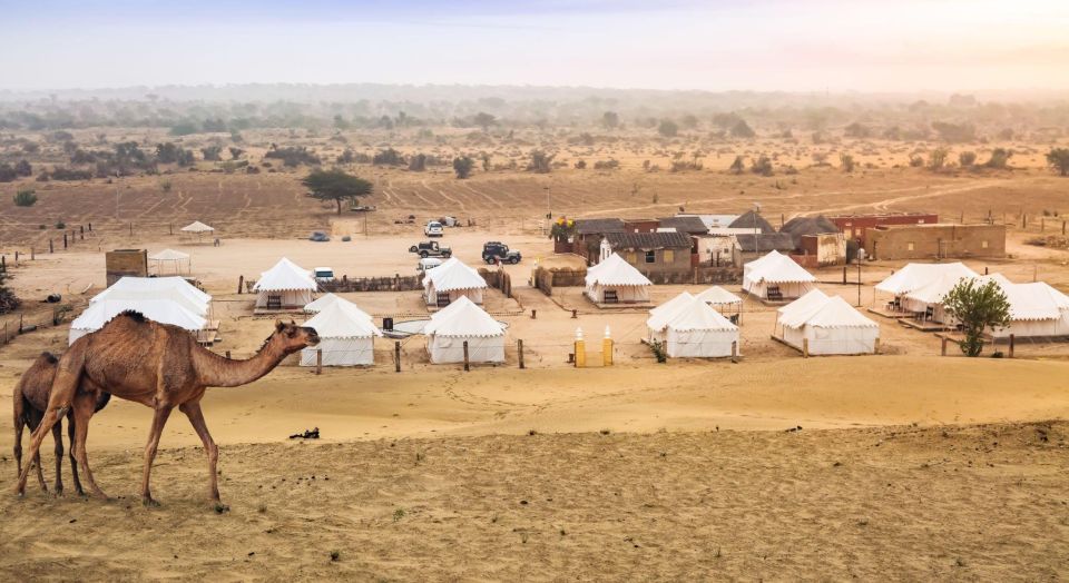 Jaisalmer: 2 Days Adventure in the Thar Desert - Tips for Your Adventure