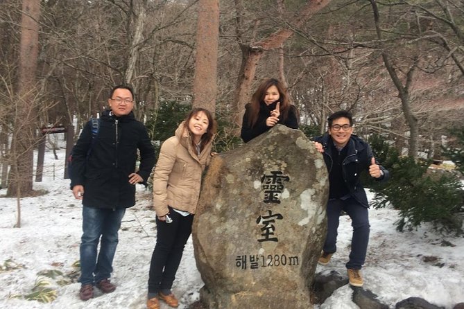 Jeju Island Private Taxi Tour : 2 Full Days - Tour Highlights and Reviews