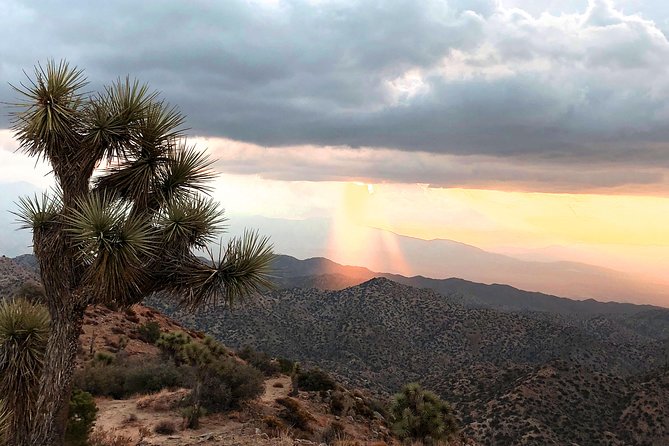 Joshua Tree National Park Air-Conditioned Tour - Additional Activities Nearby