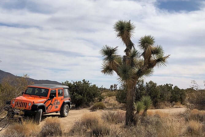 Joshua Tree National Park Offroad Tour - Tips for an Enjoyable Experience