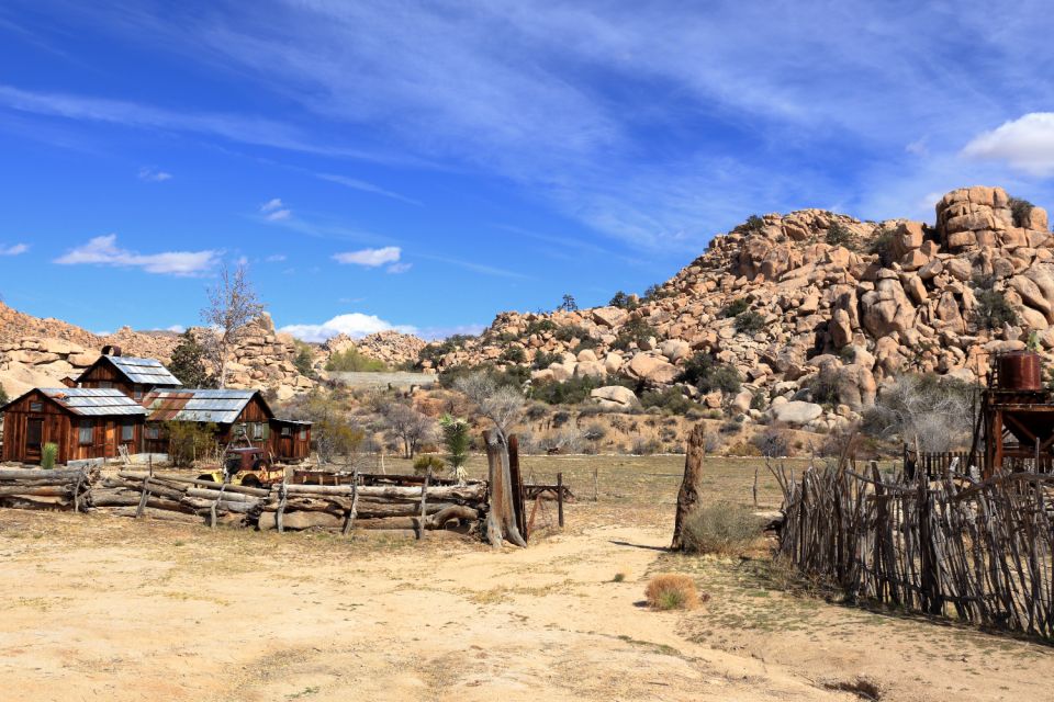 Joshua Tree National Park: Self-Driving Audio Tour - Navigating the Park Road Seamlessly