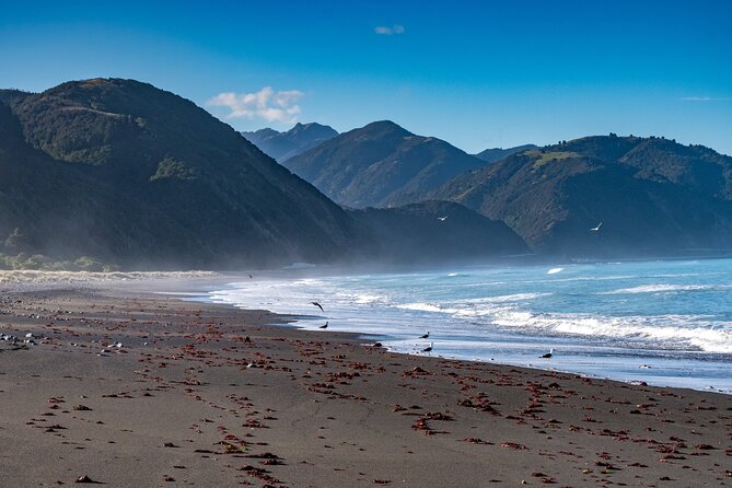 Kaikoura Day Tour With Kayak Experience From Christchurch - Booking and Cancellation Policy