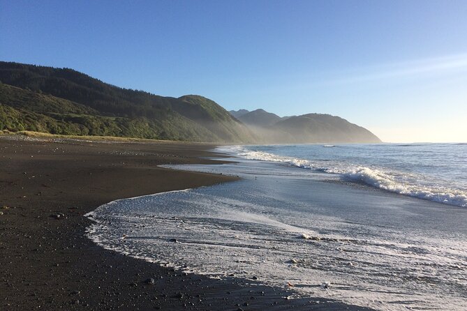 Kaikoura Day Trip From Christchurch (Small Group & Carbon Neutral) - Customer Reviews and Feedback