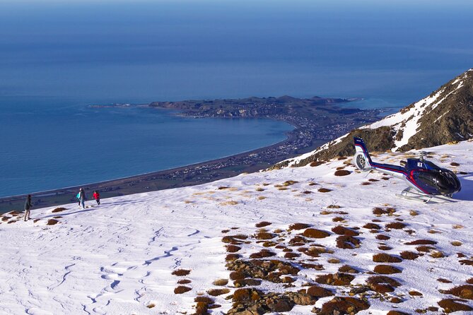 Kaikoura Helicopters Top N Tail Whale Watch Flight - Nearby Attractions in Kaikoura
