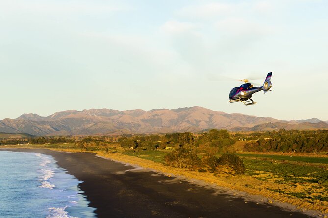 Kaikoura Whales - Booking and Payment Options