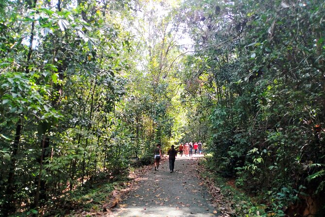 Kanneliya Rain Forest Tour - Customer Reviews and Ratings