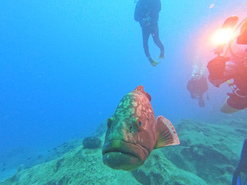 Kas: Scuba Diving Experience - Booking Details