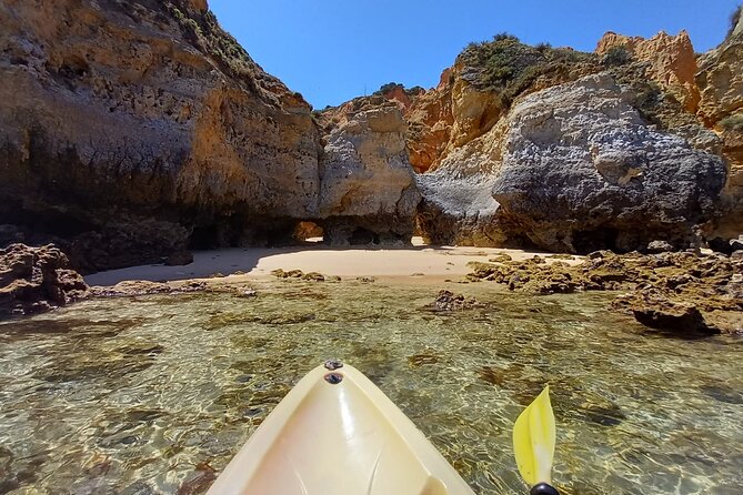 Kayak Adventure Through the Ponta Da Piedade Caves in Lagos - Highlights of the Kayak Tour