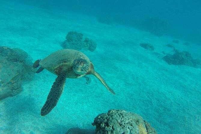 Kayak and Snorkel: Maui West Shore - Booking and Cancellation Policy