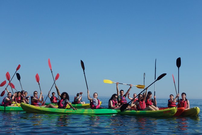 Kayak Tour of Lisbon - Guided by Local Experts