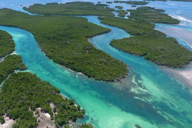 Key West Safari Eco Sandbar Tour Adventure With Snorkeling - What to Bring on the Tour